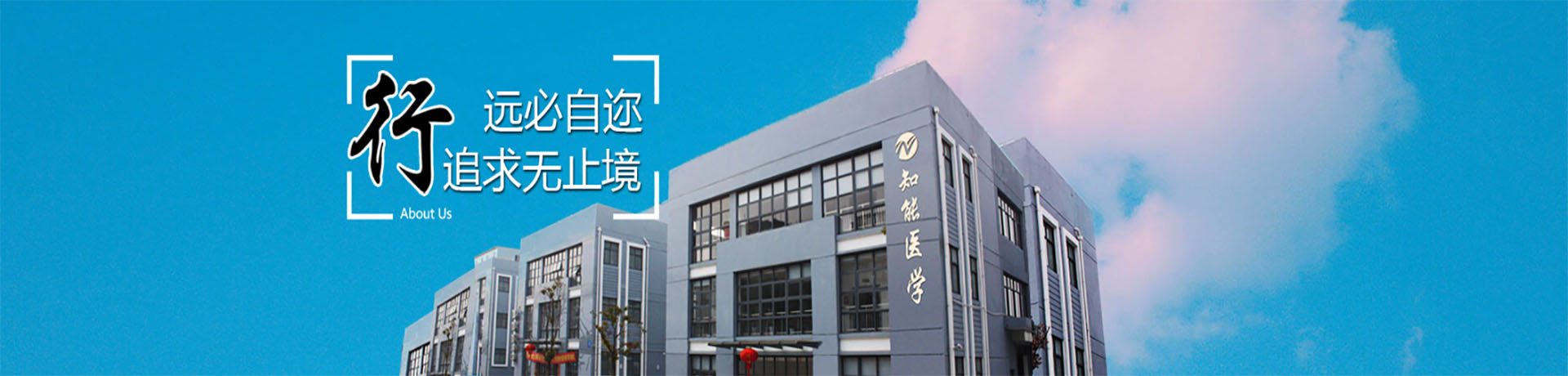 知能醫(yī)學